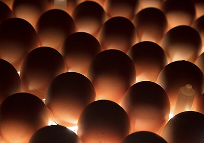 金狮贵宾会·宾至如归-尊贵显赫