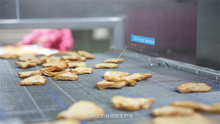 金狮贵宾会·宾至如归-尊贵显赫