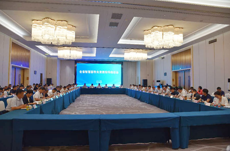 金狮贵宾会·宾至如归-尊贵显赫