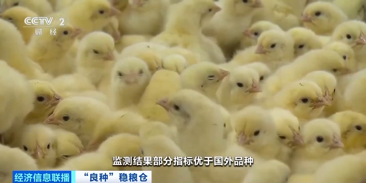 金狮贵宾会·宾至如归-尊贵显赫