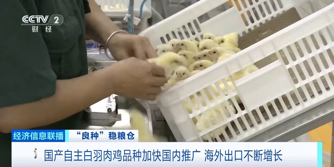 金狮贵宾会·宾至如归-尊贵显赫