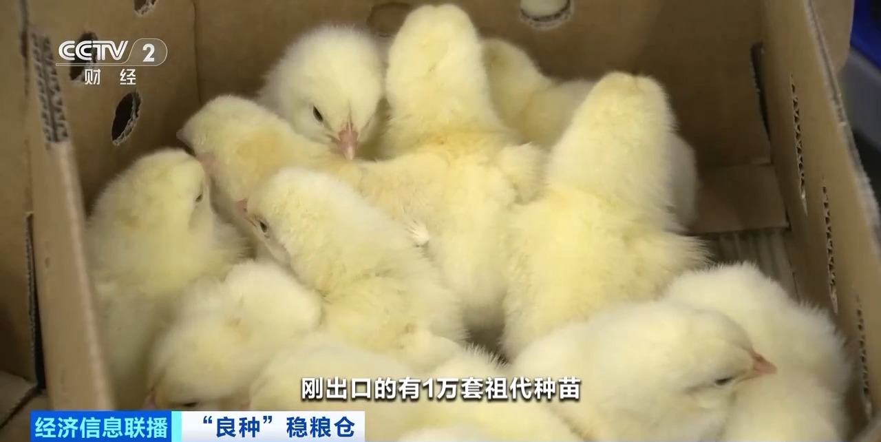金狮贵宾会·宾至如归-尊贵显赫